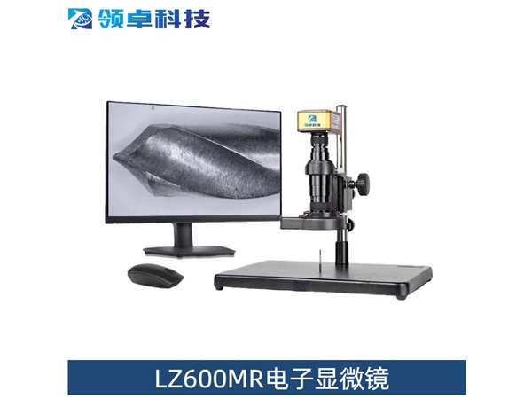 LZ600MR电子显微镜