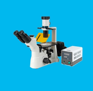 领卓LOZON XD系列倒置荧光显微镜